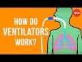 How do ventilators work? - Alex Gendler