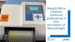 Immunology Practical course-Cytokines ELISA