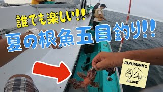 【超お手数】根魚五目釣りで盛り上がる夏