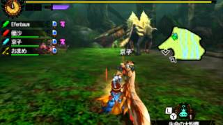 【MH4G】Lv140 ラージャン2匹 vs 4PT 4分43秒