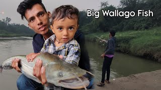 Wallago Attu catfish catching | Pathan Fish catching Videos | Fishing Videos l india Fishing Video