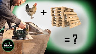 Chicken coop construction 100% Free DIY with wooden pallet