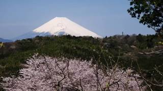 耳に残るは君の歌声