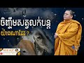 ចិញ្ចឹមសត្វលក់បន្ត យ៉ាងណាដែរ san sochea official