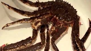King crab biscuits - Heston Blumenthal