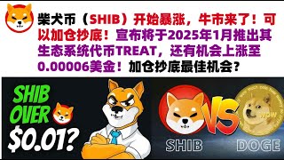 柴犬币（SHIB）开始暴涨，牛市来了！可以加仓抄底！宣布将于2025年1月推出其生态系统代币TREAT，还有机会上涨至0.00006美金！会涨到0.1美金吗？加仓抄底最佳机会？#柴犬币#屎币行情分析