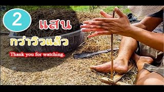 Hand Drill Fire Starting จุดไฟด้วยไม้แบบโบราณ