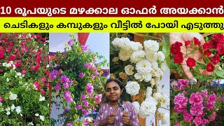 10 രൂപയ്ക്ക് ഏത് ചെടിയും ❤️ ചെടികൾക്ക് മഴക്കാല ഓഫർ ❤️Wayanadan Touch Garden Monsoon Special Offer