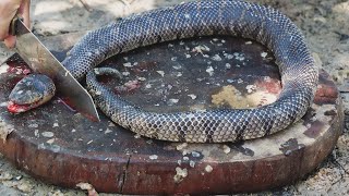 Giant Snake Soup - Delicious Big Python Boil For Food - Wilderness Food