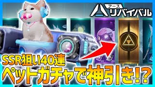 【アースリバイバル】ペットガチャ40連でSSR狙ったら奇跡起きたww【アスリバ】