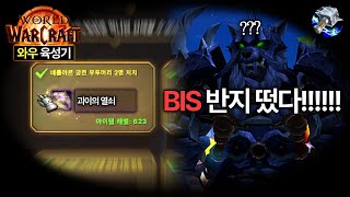 고술 최고의 반지 득템! 로그갱신 야무지게 해버렸습니다｜와우 내부전쟁 고술 육성기 #21