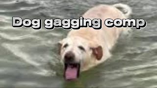 Dog gagging compilation
