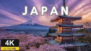 Japan 8K Video Ultra HD 240fps HDR