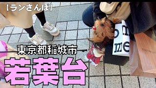 【若葉台駅周辺】稲城市若葉台駅周辺の散歩です。散歩の途中で出会ったのはなんと！---(^^)