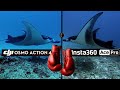 DJI Action 4 vs Insta360 Ace Pro Auto mode underwater.