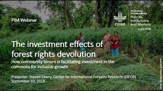 The investment effects of forest rights devolution