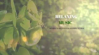 Euphorbia A Spring Plant Relaxing Nature Music  Video For Sleep Study and Concentration 1 hr