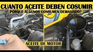 Cuanto Aceite debe consumir el Motor del auto y por que algunos consumen mucho?