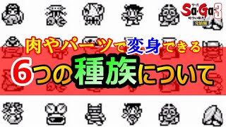 【サガ3】6つの種族の特徴はこれだ！　種族別解説　サガ3時空の覇者　GB版