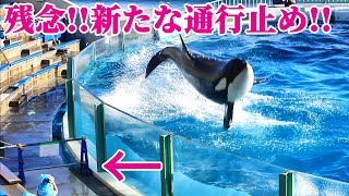 残念!!オーシャンスタジアム通行止め・・・ 鴨川シーワールド シャチショー KamogawaSeaWorld  orca killerwhale