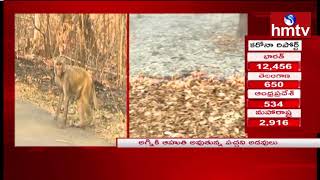 అగ్నికి  ఆహుతి అవుతున్న పచ్చని అడవులు | Updates From Mulugu Forest | hmtv