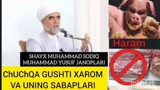 SHAYX MUHAMMAD SODIQ MUHAMMAD YUSUF JANOPLARI CHUCHQA GUSHTI NIMA UCHUN XAROM VA UNING SABAPLARI