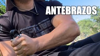 FOREARM ROUTINE WITH HANDGRIPS | Strengthen and Hypertrophy your Arms | Calisthenics and Gym