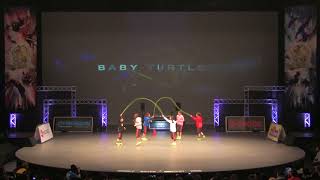 DDCW2018 JUNIOR【 BABY TURTLES 】