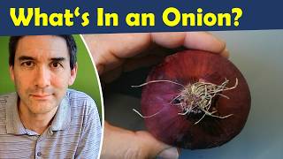 🔬 How to see Cells under the Microscope | Onion Microscopy Tutorial