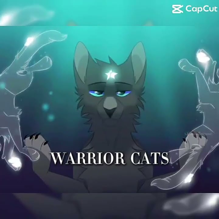Warrior Cats Edit Cat Youtube