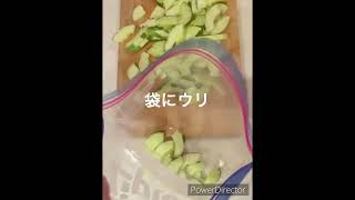 ウリの塩麹漬けの作り方　How to make gourd pickled in salted rice malt #shorts