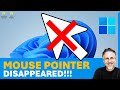 My Mouse Cursor / Pointer Disappeared in Windows 10 or 11 | Shortcut Keys to Reinstate Mouse