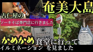 【奄美大島】かめかめ食堂とイルミネーション(古仁屋)で見ました✨新しいアプリで編集してみたよの巻