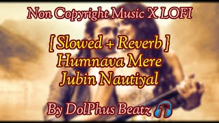 Humnava Mere LOFI // ( Slowed + Reverb ) // Non Copyright Music // DolPhus MuZik 🎧