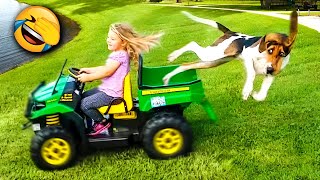 Funniest Dogs & Cats Moments😂 Hilarious Pet s 2024