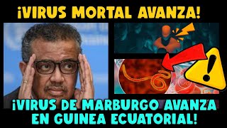 ¡ALERTA! VIRUS DE MARBURGO AVANZA, MORTALIDAD SE INCREMENTA EN GUINEA ECUATORIAL ¿PANDEMIA-?