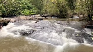 sound of Lam Takhong canal nature trail at Khao Yai national park in Thailand | relax