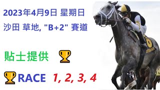 🏆「賽馬貼士」🐴2023年 4 月 9 日💰 星期日  😁 沙田 香港賽馬貼士💪 HONG KONG HORSE RACING TIPS🏆 RACE  1  2  3  4   😁