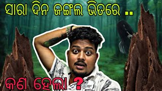 ସବୁଠୁ ଭୟାନକ ଜଙ୍ଗଲ @Sahoobhaina  #youtube #like #subscribe #share