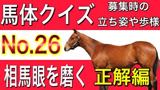 【一口馬主】馬体クイズ　NO.26 アンサー編　G1馬はどれ？　　 一口馬主の出資や馬券に活かせる馬の見方！！　horse race   racehorse Japan