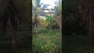 7 Acres in Dodamgaslanda , Kurunegala . Call / WhatsApp on +94 (0) 777807137