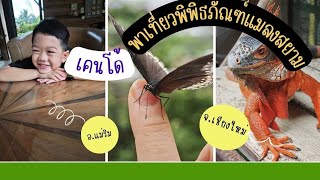 เที่ยวพิพิธภัณฑ์แมลงสยาม Siam insect zoo อ.แม่ริม จ.เชียงใหม่