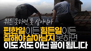 (※시청자댓글) 편한일이든 힘든일이든 잘해야 살아남지 못하면 이도 저도 아닌 꼴이 됩니다.