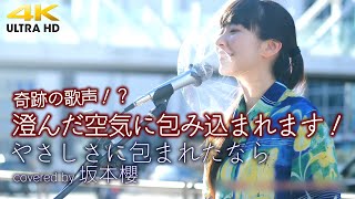 【 奇跡の歌声？ 】多くの足を止めた奇跡の歌声 、澄んだ空気に包み込まれます！　やさしさに包まれたなら / 松任谷由実（cover）\