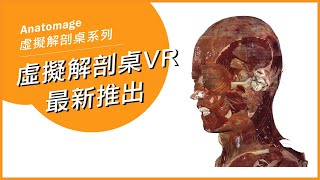 Anatomage VR  虛擬解剖桌VR虛擬實境 最新推出