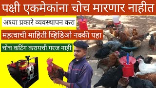 कोंबड्या एकमेकांना चोच मारणार नाहीत | Kombdya choch ka martat