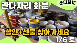 574차 #쏘다화분 1월 6일 | 화분 할인 세일 #화분  #다육화분 #예쁜화분 도자기 수제화분 다육이화분 베란다