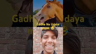 Gadhe Ne banaya majak 😂#funny #horse #realfools #comedy #short