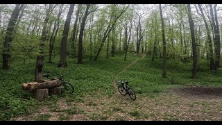 GREEN PARADISE around IASI (Bike ride on Barnova Forest)