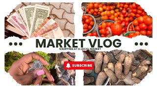 Visiting a Local Market In a New City | Lifestyle Vlog | Benin Republic 🇧🇯